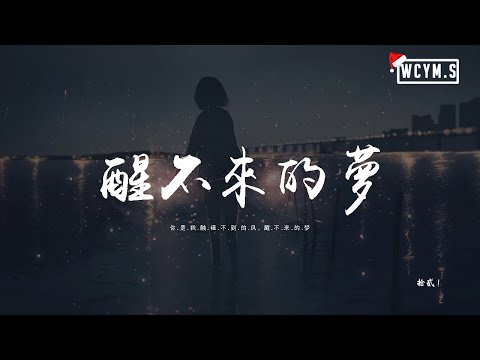 拾贰！ - 醒不来的梦「你是我触碰不到的风，醒不来的梦」【動態歌詞/pīn yīn gē cí】