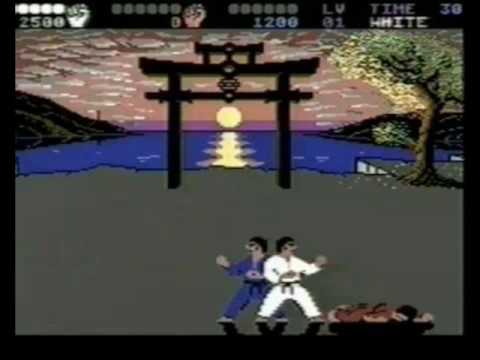 International Karate Wii