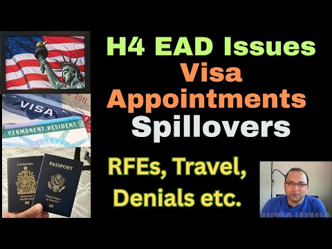 Wisdom Trends and Manifest Law