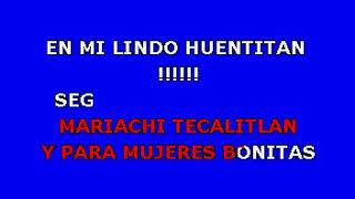 Vicente Fernandez   El Jalisciense Karaoke  K 2