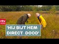 Hoe jaagt een spin op zijn prooi? | RTV Drenthe