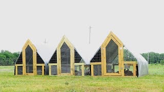 The Chicken Tractor Army