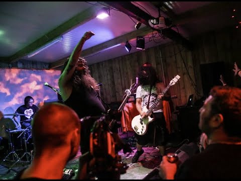 IMPATV 187 - COSMIC DEAD - WOODLAND GATHERING 2018 - FULL SET