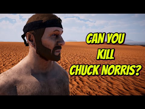Can You Kill Chuck Norris? | UEBS 2