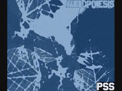 Audiopoiesis - Oilscam