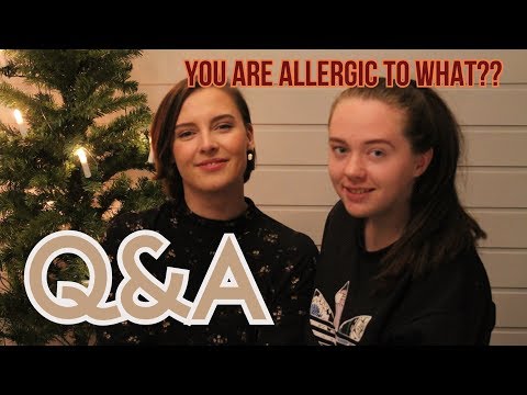 Q&A // Sezm equestrians