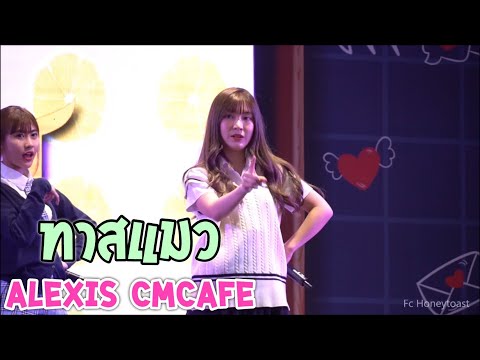 Alexis Cmcafe (Fancam) - ทาสแมว | 14/02/2021 IDOL Exchange @MBK Center