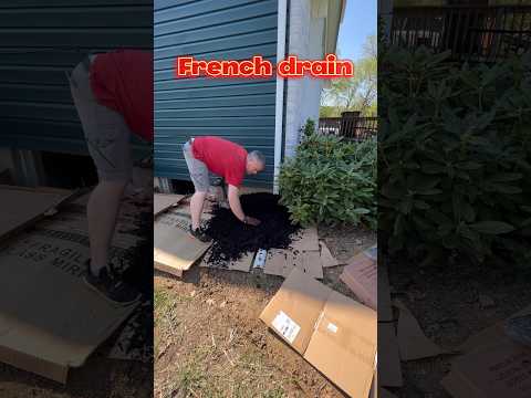 DIY French Drain - Cheap & Easy #backyard #home #shorts