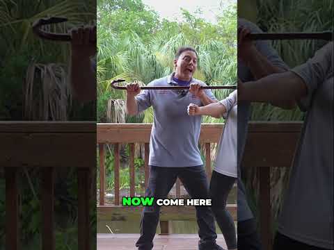 Cane Fighting: Mastering Secondary Midline Strikes