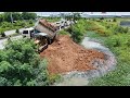Full Video!! Technique filling Flooded land Next to the road Use Dozer MITSUBISHI & Small Dump Truck