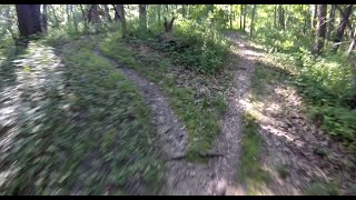 Jubilee College State Park