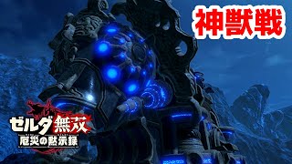 【実況】定年を迎えた父を再びハイラルの大地に放り込むPart15【ゼルダ無双 厄災の黙示録】