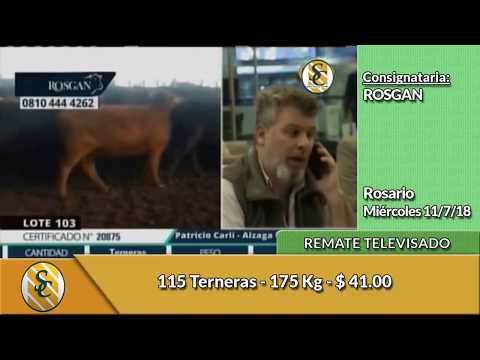 11-7-18 - Remate Televisado de ROSGAN - Rosario
