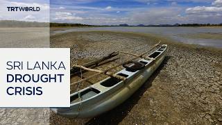 Sri Lanka's severe drought leaves tens of thousands dependent on dwindling wells