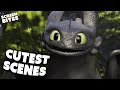 30 Minutes Of Toothless Being Unbelievably Cute Screen Bites