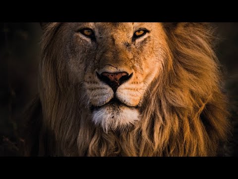 The Faith of The Fathers