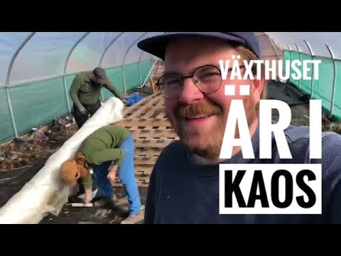 Upp med växthus och ut med plantor - Gården vaknar ur sitt ide