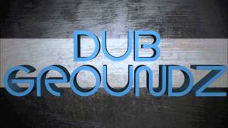 Dub Groundz | Bassnectar - Lights Remix