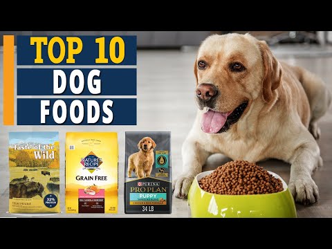 10 Top Dog Foods in 2022 - Which Ones are The Best? 🐶 ✅