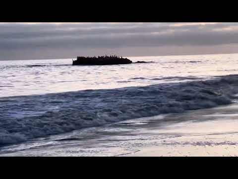 Wave crushing, beautiful Laguna Beach