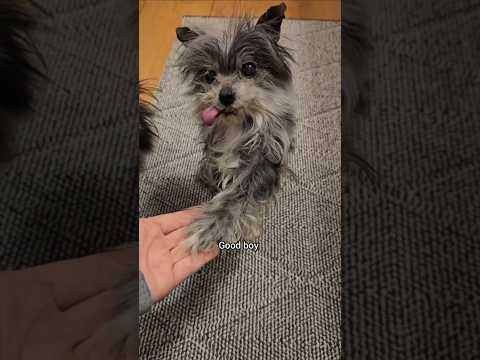 A heartwarming update for the Ace lovers ❤️