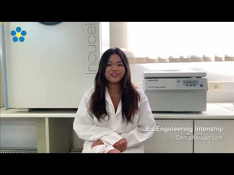 Bio-Engineering Internship - Katie