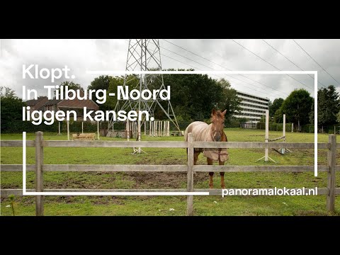 Mozaïek Tilburg-Noord