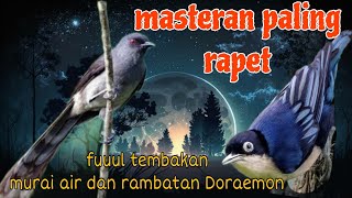 Download lagu Masteran paling ampuh dan rapat murai air dan rambatan Doraemon mp3