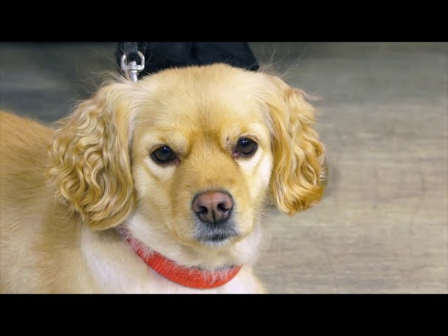 «Живая среда»