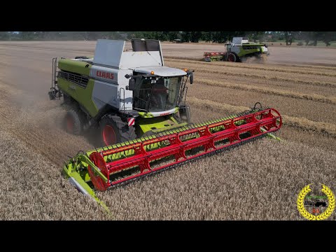 2 x Claas Lexion 5400 / Triticale Dreschen 2021 / Claas Convio 930 / AGP Lübesse / LKW / John Deere