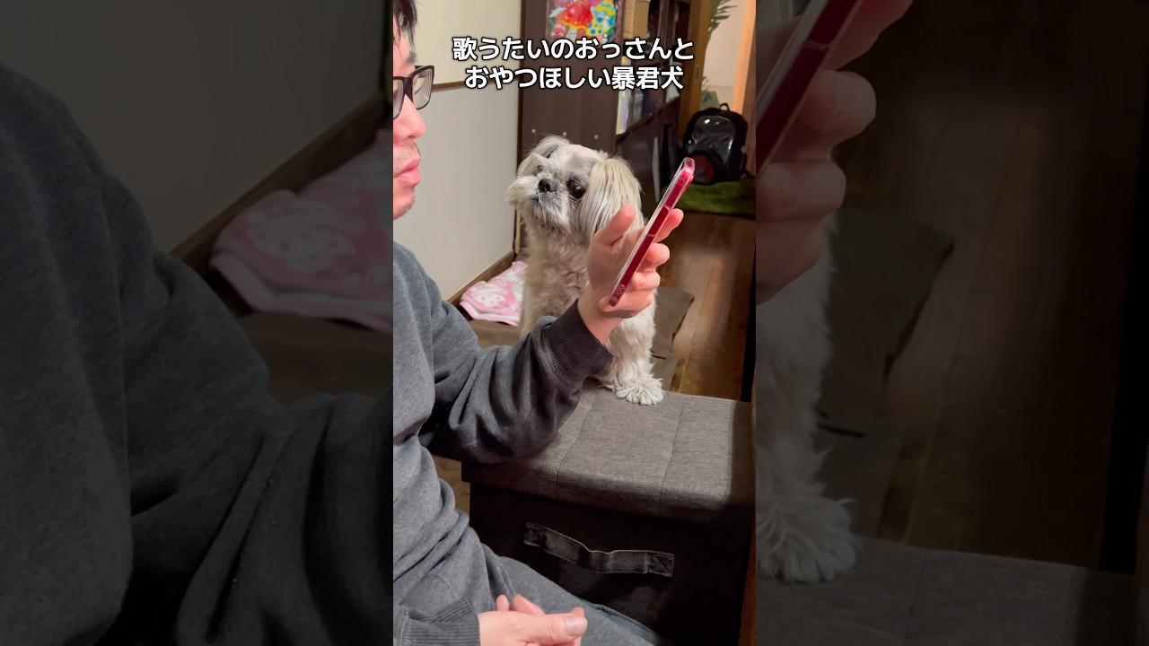 歌うたいvs暴君犬