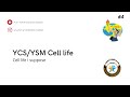 YCS YSM Cell Life YCS YSM Archdiocese Madras 4
