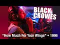 Black Crowes • “How Much For Your Wings” (in studio) • 1996 [Reelin' In The Years Archive]
