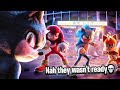 When SHADOW THE HEDGEHOG DECIMATED The SONIC HEROES