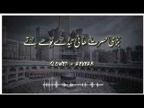 Mere Malik Teri Raza K Liye (Slowed & Reverb) | Jan Hazir Hai Mustafa K Liye Slowed Reverb | Naat