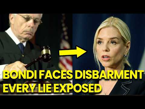 Bambidoe Leaks Exploded Truth Behind The Massive Data Dump