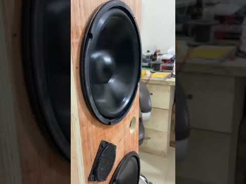 8" 80 WT WOOFER Testing