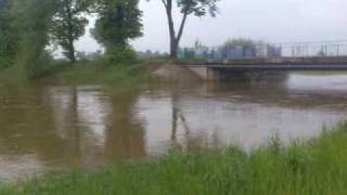 preview picture of video 'Powódź w Wielkopolsce: Rzeka Kuroch wylała!'