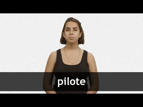 Pilote visual data 7