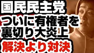 国民民主党｜政策と対応を巡る議論｜指摘されている論点と世論の動向を整理【政治分析】