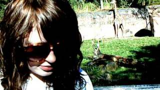 Perfect Company - A Cursive Memory