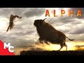 Alpha Hunting For Bison Full Movie Scene