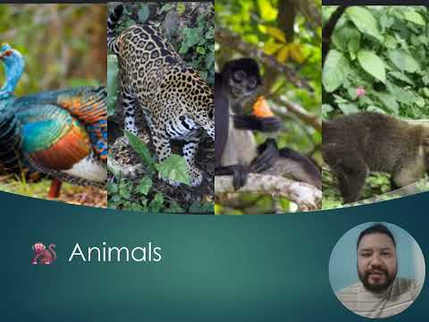 My next family trip to Peten