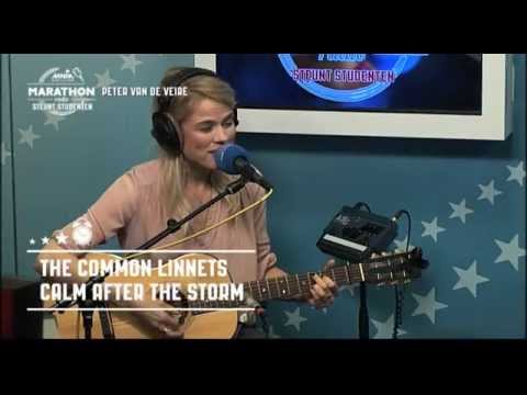 MNM: The Common Linnets - Calm After The Storm