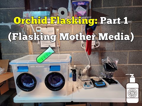 Orchid Flasking (P1) - Flasking Mother Media