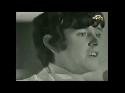 NEW * Mellow Yellow - Donovan {Stereo} 1966