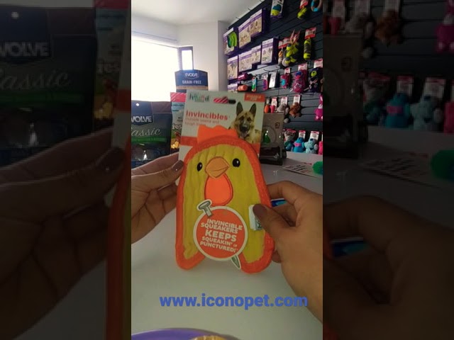 Vídeo relacionado con Outward Hound Invincibles - Juguete chillón para Perro Minis Fox - Robusto y Duradero