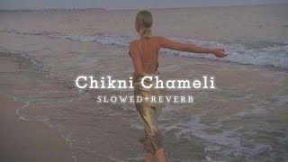 Chikni Chameli (slowed+reverb) - Shreya Ghoshal