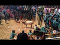 Samburanipatti Madu Dalmiya