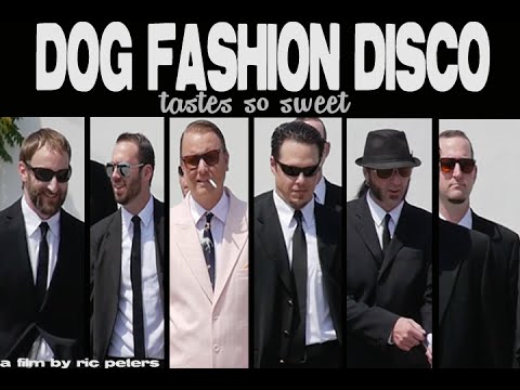 Dog Fashion Disco — 